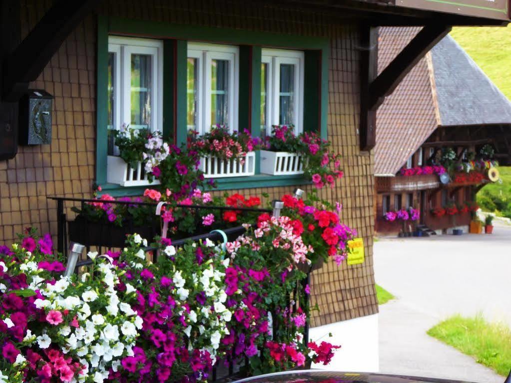 Schwarzwaldhaus Kathi Apartment Todtmoos Exterior photo